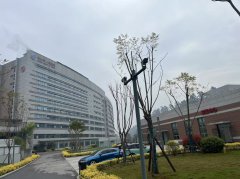 医院洗浆材料厂家———乐山市人民医院